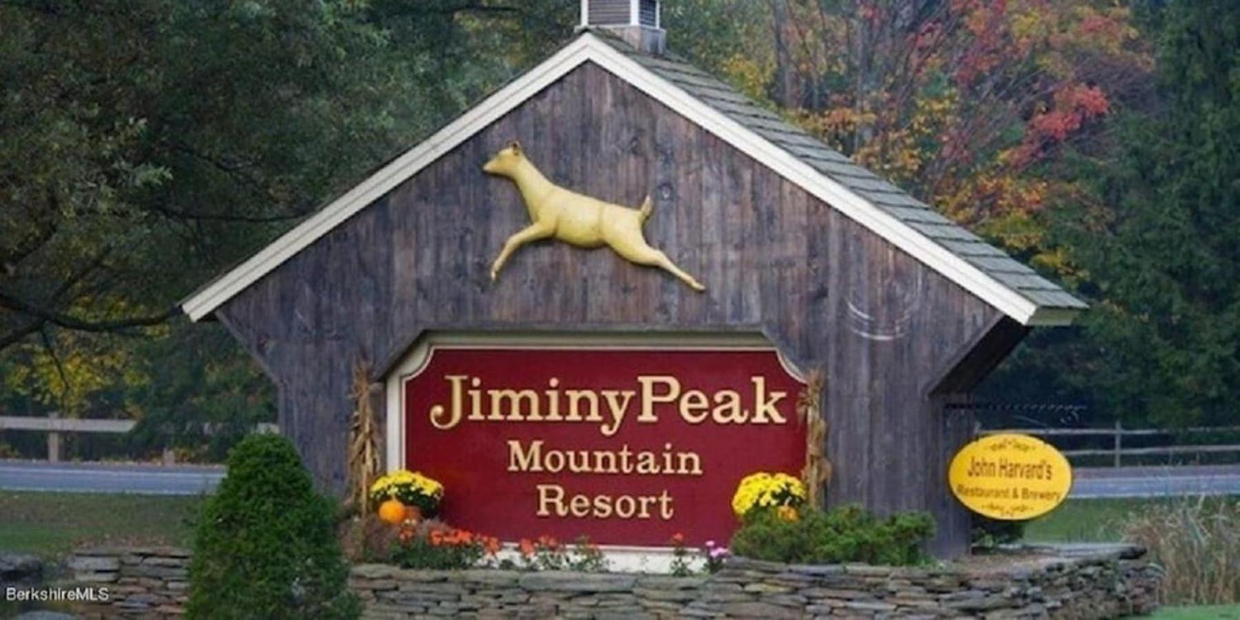 Gorgeous 1St Fl Mtn View Jiminy Suite Sleeps 4 Ski On Off Ханкок Екстериор снимка